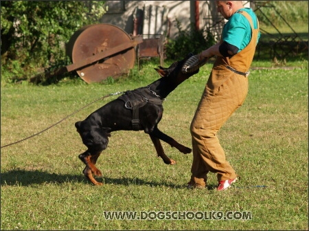 Pako Daker - training